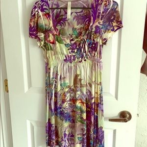 S-twelve dress multi colored